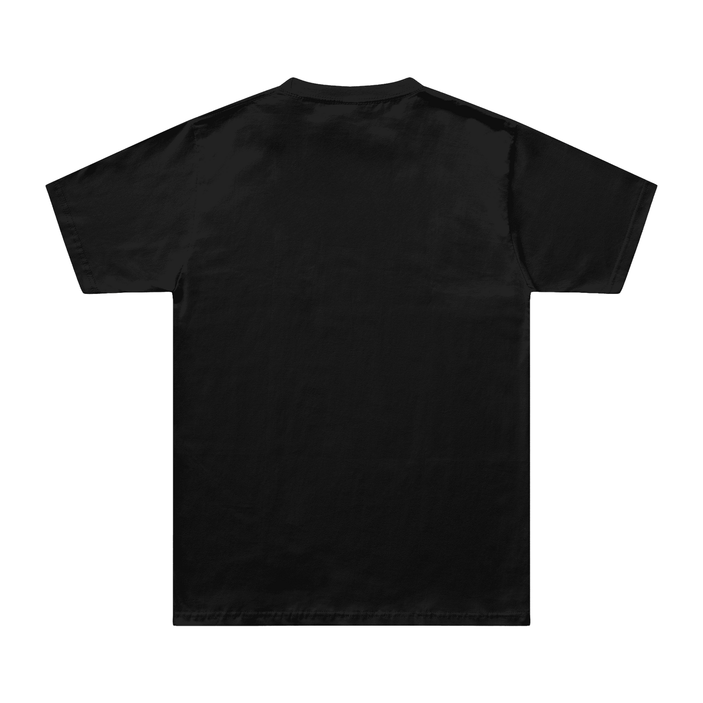 T-shirt "GABRIELLA" - The Odds